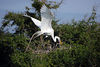 birdfeathers > Sundown Island & POC - Spring 2007 photo